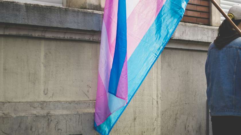 the transgender flag, which is blue, white and pink, being held against a brick wall