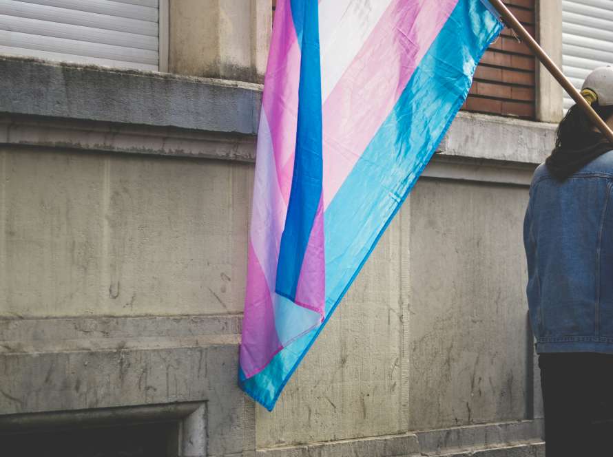 the transgender flag, which is blue, white and pink, being held against a brick wall